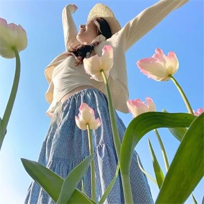 圆盘皇女 十二月夜想曲